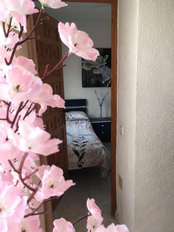 مبيت وإفطار La Mariña Casa Phoenix Bed & Breakfast المظهر الخارجي الصورة