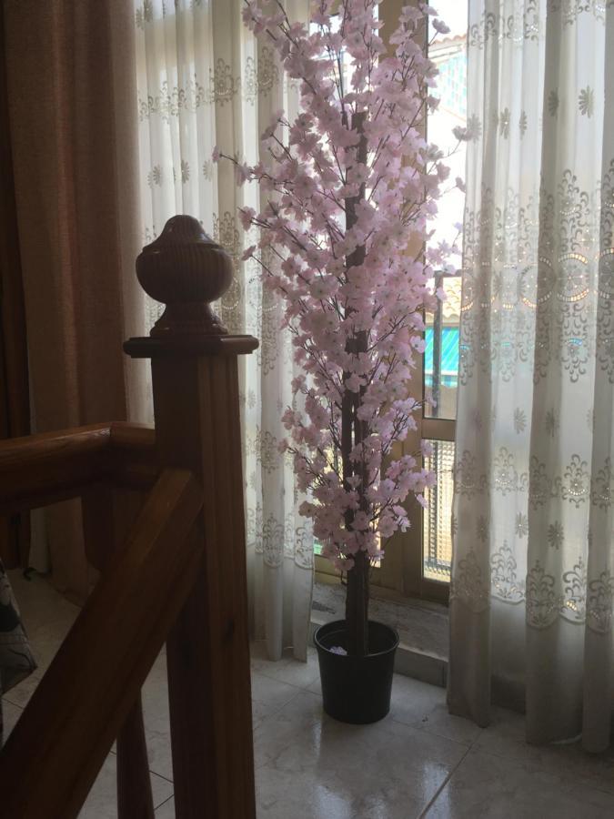 مبيت وإفطار La Mariña Casa Phoenix Bed & Breakfast المظهر الخارجي الصورة