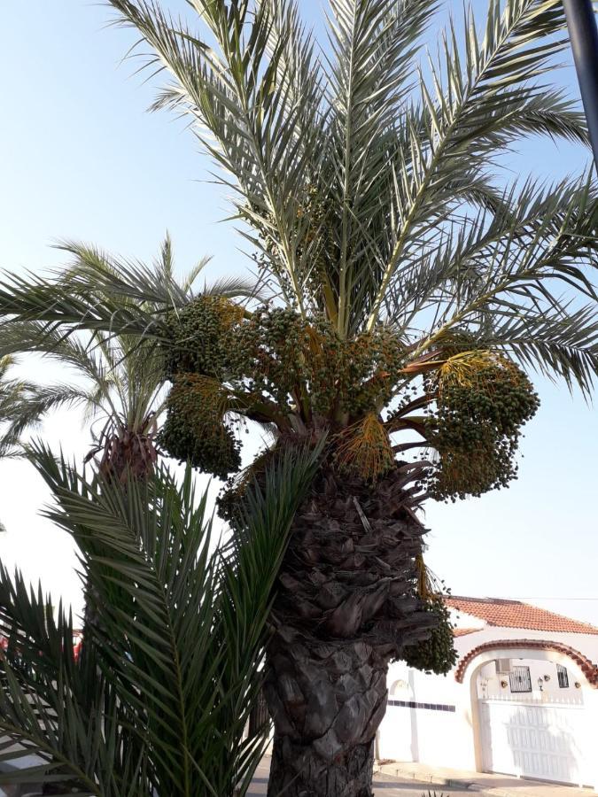 مبيت وإفطار La Mariña Casa Phoenix Bed & Breakfast المظهر الخارجي الصورة